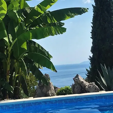 My-summerlodge-lemon
